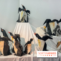 La faune en plis - nos photos - image00018