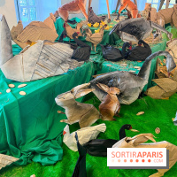 La faune en plis - nos photos - image00009