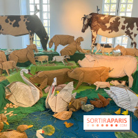 La faune en plis - nos photos - image00007