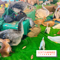 La faune en plis - nos photos - image00008