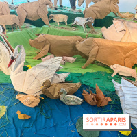 La faune en plis - nos photos - image00004