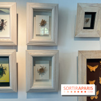 La faune en plis - nos photos - image00005