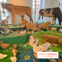 La faune en plis - nos photos - image00006