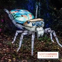 Thoiry Lumières Sauvages 2024, les Voyages Extraordinaires de Jules Verne - photos