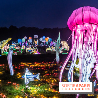 Thoiry Lumières Sauvages 2024, les Voyages Extraordinaires de Jules Verne - photos