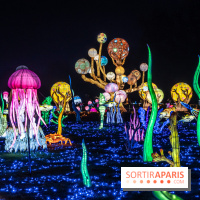 Thoiry Lumières Sauvages 2024, les Voyages Extraordinaires de Jules Verne - photos