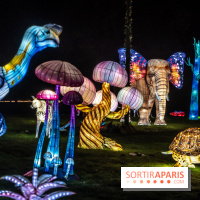 Thoiry Lumières Sauvages 2024, les Voyages Extraordinaires de Jules Verne - photos