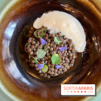 Maison Brut Paris - Lentilles vertes, oignon doux