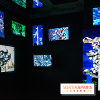 Pixels au Grand Palais Immersif : nos photos de l'exposition qui mêle art numérique et IA