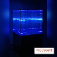 Pixels au Grand Palais Immersif : nos photos de l'exposition qui mêle art numérique et IA - DSC 1991