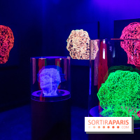 Pixels au Grand Palais Immersif : nos photos de l'exposition qui mêle art numérique et IA - DSC 2007