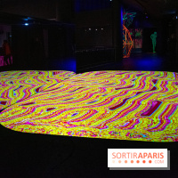 Pixels au Grand Palais Immersif : nos photos de l'exposition qui mêle art numérique et IA - DSC 2011