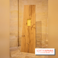 Exposition Les Cimes de l’Asphalte de Duy Anh Nhan Duc à l’Espace Richaud - DSC 2060