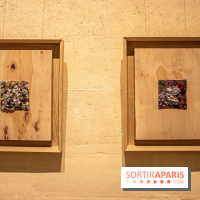 Exposition Les Cimes de l’Asphalte de Duy Anh Nhan Duc à l’Espace Richaud - DSC 2064