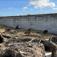La tranchée historique du Musée de la Grande Guerre - PhotosTranchee©MuseeGrandeGuerre S (12)