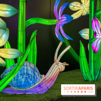 Les vitrines de Noël 2024 de la Samaritaine : Thoiry Lumières Sauvages envahit le grand magasin - Les vitrines de Noël 2024 de la Samaritaine : Thoiry Lumières Sauvages envahit le grand magasin 1125745