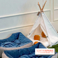 Le Doggy Brunch : le brunch gourmand entre chiens et maîtres à l'hôtel Kimpton Saint Honoré Paris - image00030