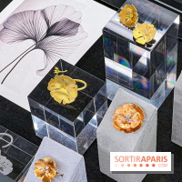 L'exposition gratuite des bijoux de la Maison de Haute-Joaillerie Vever rue de la Paix, à Paris