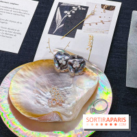 L'exposition gratuite des bijoux de la Maison de Haute-Joaillerie Vever rue de la Paix, à Paris  - image00031