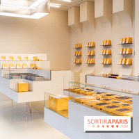 La chocolaterie William Artigue et ses chocolats de Noël 2024 -  A7C5846