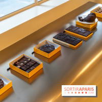 La chocolaterie William Artigue et ses chocolats de Noël 2024 -  A7C5848