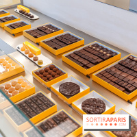 La chocolaterie William Artigue et ses chocolats de Noël 2024 -  A7C5849