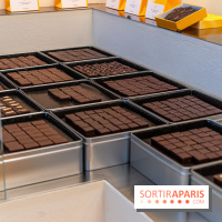 La chocolaterie William Artigue et ses chocolats de Noël 2024 -  A7C5850