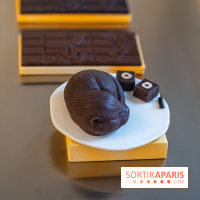 La chocolaterie William Artigue et ses chocolats de Noël 2024