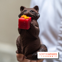 La chocolaterie William Artigue et ses chocolats de Noël 2024 -  A7C5864