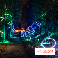 Lumières en Seine 2024, le parcours de lumières féérique et animé  -  A7C6721