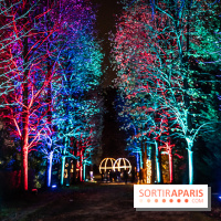 Lumières en Seine 2024, le parcours de lumières féérique et animé  -  A7C6741