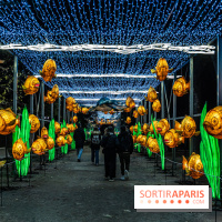 Jurassique en voir d'illumination, le parcours de lumières du jardin d'acclimatation 2024, les photos  -  A7C6998