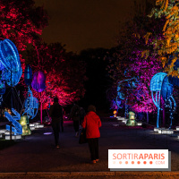 Jurassique en voir d'illumination, le parcours de lumières du jardin d'acclimatation 2024, les photos  -  A7C7011