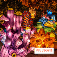 Jurassique en voir d'illumination, le parcours de lumières du jardin d'acclimatation 2024, les photos  -  A7C7028