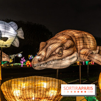 Jurassique en voir d'illumination, le parcours de lumières du jardin d'acclimatation 2024, les photos  -  A7C7051