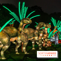 Jurassique en voir d'illumination, le parcours de lumières du jardin d'acclimatation 2024, les photos  -  A7C7054