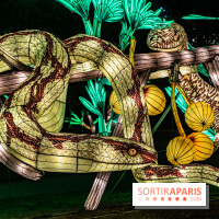 Jurassique en voir d'illumination, le parcours de lumières du jardin d'acclimatation 2024, les photos  -  A7C7070