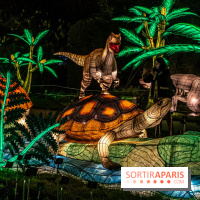 Jurassique en voir d'illumination, le parcours de lumières du jardin d'acclimatation 2024, les photos  -  A7C7089