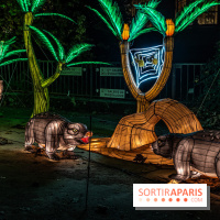 Jurassique en voir d'illumination, le parcours de lumières du jardin d'acclimatation 2024, les photos  -  A7C7092