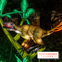 Jurassique en voir d'illumination, le parcours de lumières du jardin d'acclimatation 2024, les photos  -  A7C7099
