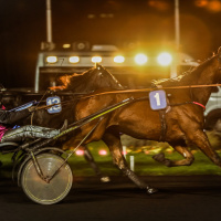 Bon plan : venez fêter le rois et les reines ! Ce dimanche c'est la galette pour les petits… et les grands à l’Hippodrome ! - 20191208184405 PrixBourbonnais BV1 5494