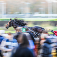  Bon plan : venez fêter le rois et les reines ! Ce dimanche c'est la galette pour les petits… et les grands à l’Hippodrome ! - BV 20231119172657BV1 5505