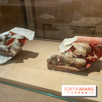 Faire parler les pierres - IMG 6503