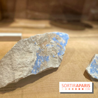 Faire parler les pierres - IMG 6512