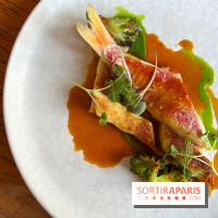 Fugue Restaurant - Rouget barbet, sauce bouillabaisse