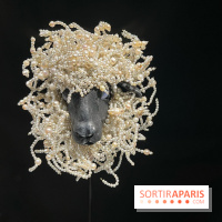 Paris, capitale de la perle