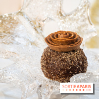 La bûche de Noël Hespéridée du Peninsula Paris 2024 et galette des rois 2025 -  A7C2241