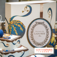 La bûche coffrets de Noël en trompe l'œil de Ladurée 2024 par Julien Alvarez et les créations de fête -  A7C2327