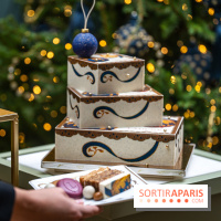 La bûche coffrets de Noël en trompe l'œil de Ladurée 2024 par Julien Alvarez et les créations de fête -  A7C2342