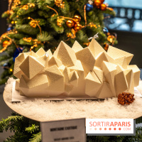 Les bûches de Noël de Jeffrey Cagnes 2024 - photos -  Montagne exotique Cupra